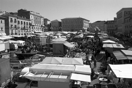 L'Aquila. Piazza del Duomo: mercato